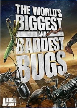 Самые большие и страшные жуки в мире (The World's Biggest and Baddest Bugs)