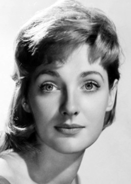 196091 large