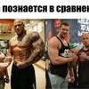 262316 thumb