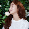 278023 thumb