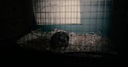 кадр из фильма Карантин (Quarantine) - 4