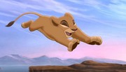 кадр из фильма Король Лев 2: Гордость Симбы (The Lion King II: Simba's Pride) - 3
