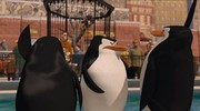 кадр из фильма Мадагаскар (Madagascar) - 1