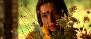 кадр из фильма Ускользающая красота (Stealing Beauty) - 3
