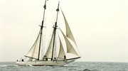 кадр из фильма Морской волк (Der Seewolf) - 1