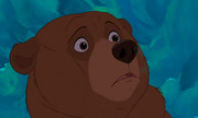 кадр из фильма Братец медвежонок (Brother Bear) - 3