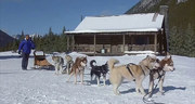 кадр из фильма Снежные псы (Snow Dogs) - 3