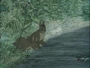 кадр из фильма Обитатели холмов (Watership Down) - 2