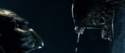 кадр из фильма Чужой против хищника (Alien vs. Predator) - 15