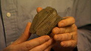 60347 thumb
