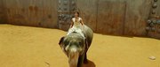 кадр из фильма Джодха и Акбар (Jodhaa Akbar) - 8