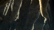 75002 thumb