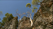 75007 thumb