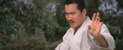 кадр из фильма Шаолинь вызывает ниндзя (Zhong hua zhang fu) - 4