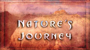 кадр из фильма Путешествие по природе (Nature's Journey) - 1