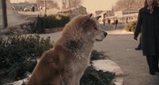 кадр из фильма Хатико: Самый верный друг (Hachiko: A Dog's Story) - 14