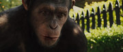 кадр из фильма Восстание планеты обезьян (Rise of the Planet of the Apes) - 2