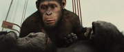 кадр из фильма Восстание планеты обезьян (Rise of the Planet of the Apes) - 5