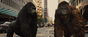 кадр из фильма Восстание планеты обезьян (Rise of the Planet of the Apes) - 12