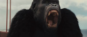 кадр из фильма Восстание планеты обезьян (Rise of the Planet of the Apes) - 13