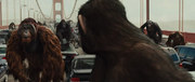 кадр из фильма Восстание планеты обезьян (Rise of the Planet of the Apes) - 20