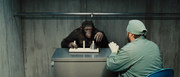 кадр из фильма Восстание планеты обезьян (Rise of the Planet of the Apes) - 21