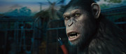 кадр из фильма Восстание планеты обезьян (Rise of the Planet of the Apes) - 26