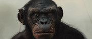 кадр из фильма Восстание планеты обезьян (Rise of the Planet of the Apes) - 28