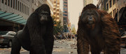кадр из фильма Восстание планеты обезьян (Rise of the Planet of the Apes) - 30