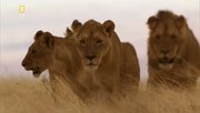 кадр из фильма Планета хищников (Planet Carnivore) - 5