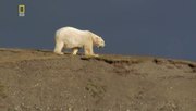 кадр из фильма Планета хищников (Planet Carnivore) - 8