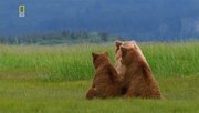 кадр из фильма Планета хищников (Planet Carnivore) - 10