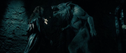 кадр из фильма Другой мир 2 - Эволюция (Underworld: Evolution) - 14