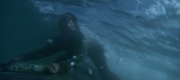 кадр из фильма Оседлавший кита (Whale Rider) - 9