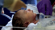 кадр из фильма BBC: Борьба за жизнь (Fight for Life) - 1