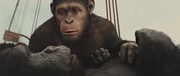 кадр из фильма Восстание планеты обезьян (Rise of the Planet of the Apes) - 34