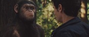 кадр из фильма Восстание планеты обезьян (Rise of the Planet of the Apes) - 35