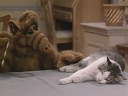 кадр из фильма Альф (ALF) - 3