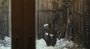 кадр из фильма Пугающий роман (O-ssak-han Yeon-ae) - 1