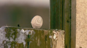 157956 thumb