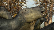 158865 thumb