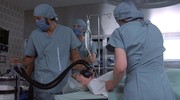 кадр из фильма Кома (Coma) - 1