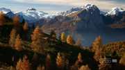 кадр из фильма Nature: Принц Альп (Prince of the Alps) - 2