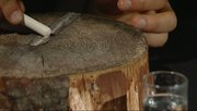 кадр из фильма На чем основана история - 8
