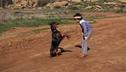 кадр из фильма Отважные доберманы (The Daring Dobermans) - 4