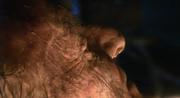 176715 thumb