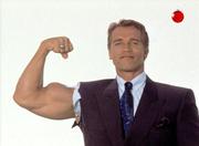 кадр из фильма Арнольд Шварценеггер. Он вернулся - 5