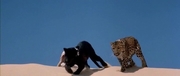 кадр из фильма Сахара (Sahara) - 5