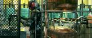 кадр из фильма Судья Дредд 3D (Dredd 3D) - 28