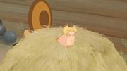 181597 thumb